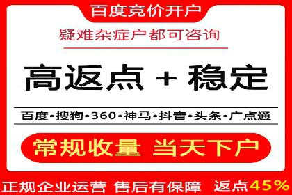 百度竞价广告的投放策略与成功案例分析